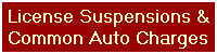 License Suspensions &
Common Auto Charges