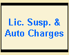 Lic. Susp. &
Auto Charges
