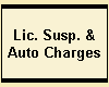 Lic. Susp. &
Auto Charges